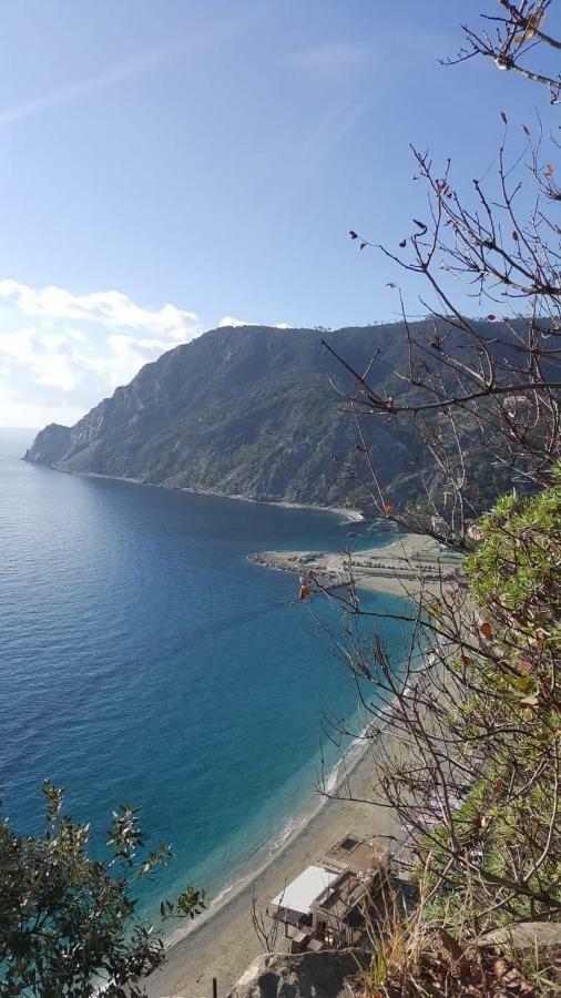 Appartamento Le Conchiglie Monterosso Al Mare Exterior foto