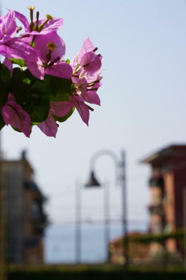 Appartamento Le Conchiglie Monterosso Al Mare Exterior foto